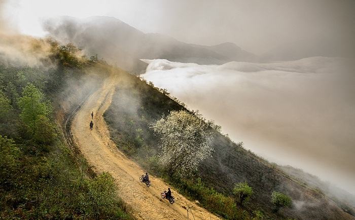 Đường đi săn mây trên đỉnh Ngải Thầu Đường đi săn mây trên đỉnh Ngải Thầu