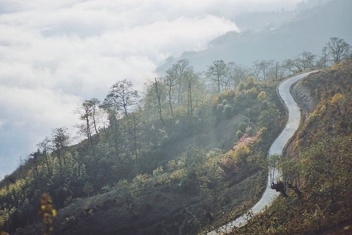 Cung đường săn mây trên đỉnh Ngải Thầu Cung đường săn mây trên đỉnh Ngải Thầu