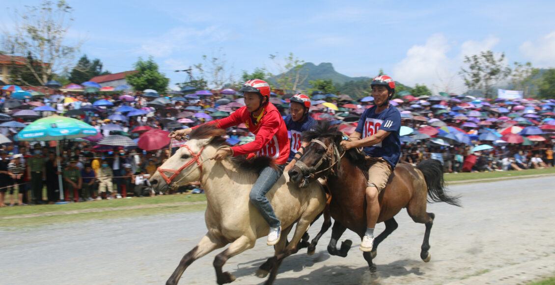 dua-ngua-bac-ha