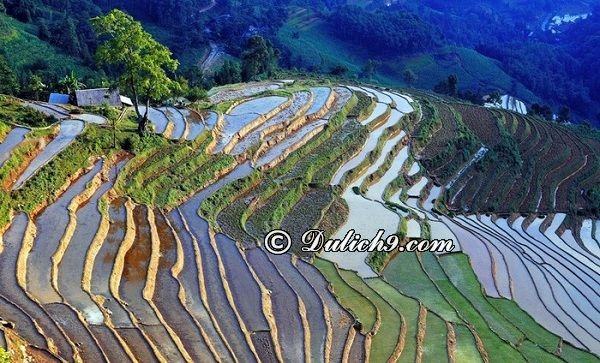 Thời điểm thích hợp để du lịch Bắc Hà/ Nên phượt Bắc Hà khi nào?