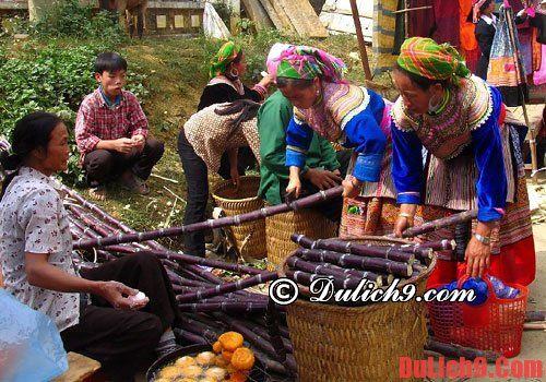 Kinh nghiệm du lịch phượt Bắc Hà