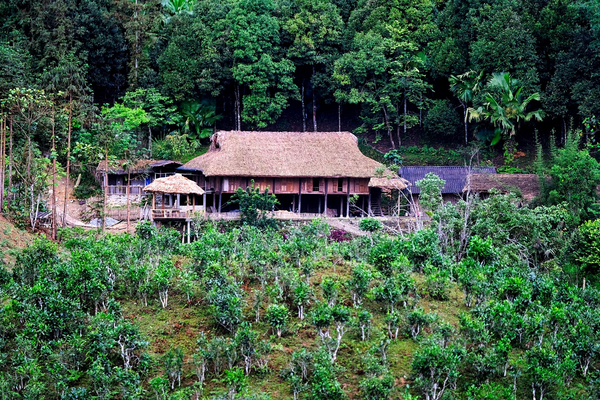 Bản Liền (Bắc Hà) Bức tranh thiên nhiên hùng vĩ, trù phú Bản Liền (Bắc Hà) Bức tranh thiên nhiên hùng vĩ, trù phú