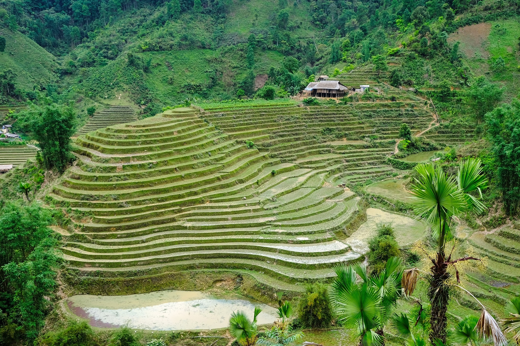 Bản Liền (Bắc Hà) Bức tranh thiên nhiên hùng vĩ, trù phú Bản Liền (Bắc Hà) Bức tranh thiên nhiên hùng vĩ, trù phú