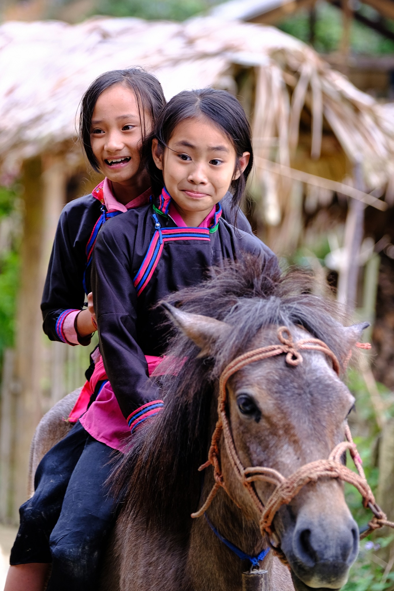 Bản Liền (Bắc Hà) Bức tranh thiên nhiên hùng vĩ, trù phú Bản Liền (Bắc Hà) Bức tranh thiên nhiên hùng vĩ, trù phú