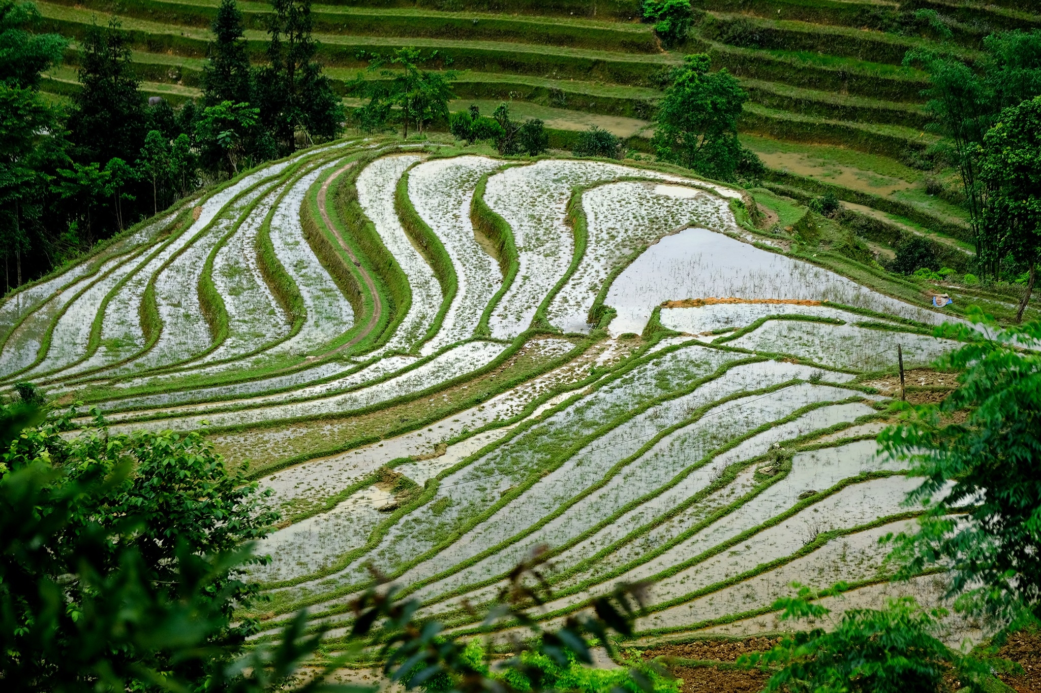 Bản Liền (Bắc Hà) Bức tranh thiên nhiên hùng vĩ, trù phú Bản Liền (Bắc Hà) Bức tranh thiên nhiên hùng vĩ, trù phú