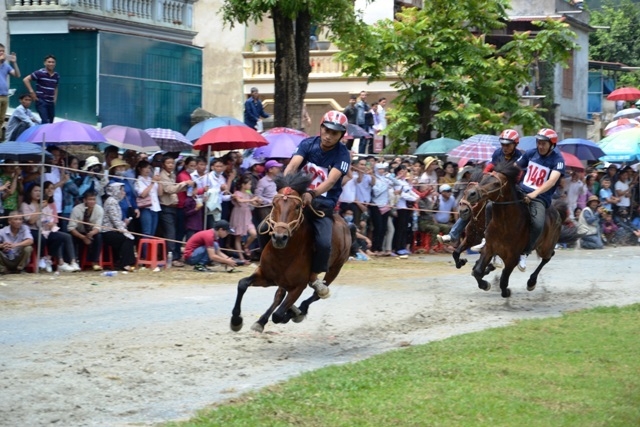 Sôi động “Vó ngựa cao nguyên trắng” Bắc Hà 2020.