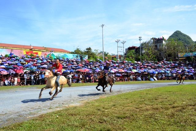 Lần đầu tiên có nữ “kỵ sĩ” tham gia đua ngựa thồ trên cao nguyên trắng Bắc Hà ảnh 1