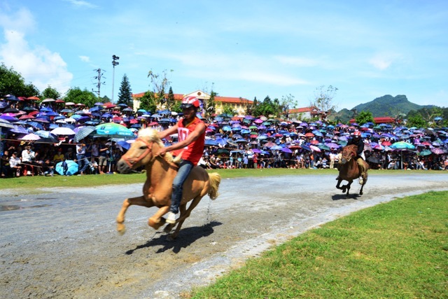 Lần đầu tiên có nữ “kỵ sĩ” tham gia đua ngựa thồ trên cao nguyên trắng Bắc Hà ảnh 2