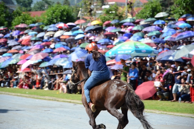 Lần đầu tiên có nữ “kỵ sĩ” tham gia đua ngựa thồ trên cao nguyên trắng Bắc Hà ảnh 4