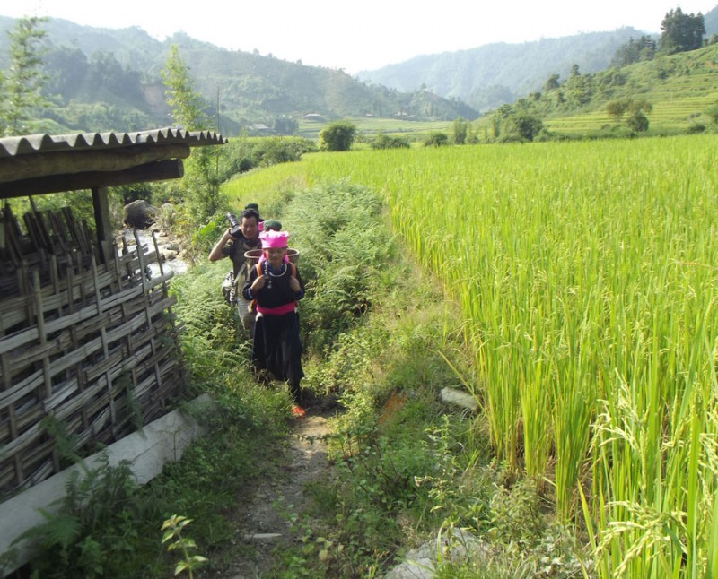 Lào Cai: Phụ nữ Tày vùng cao Bản Liền - Bắc Hà tìm hướng giảm nghèo bền vững Lào Cai: Phụ nữ Tày vùng cao Bản Liền - Bắc Hà tìm hướng giảm nghèo bền vững