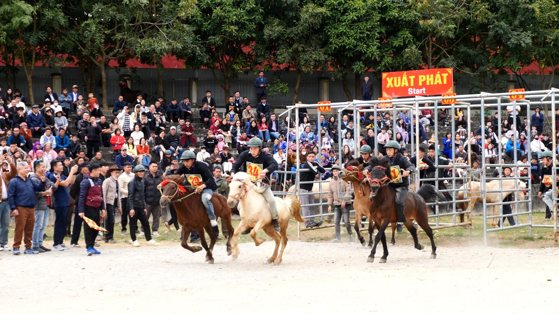 Nài ngựa xuất phát trong lượt đua chiều mùng 4 Tết Bính Ngọ tại sân vận động trung tâm Bắc Hà. Đầu năm Bính Ngọ, lên Bắc Hà xem đua ngựa khai hội xuân