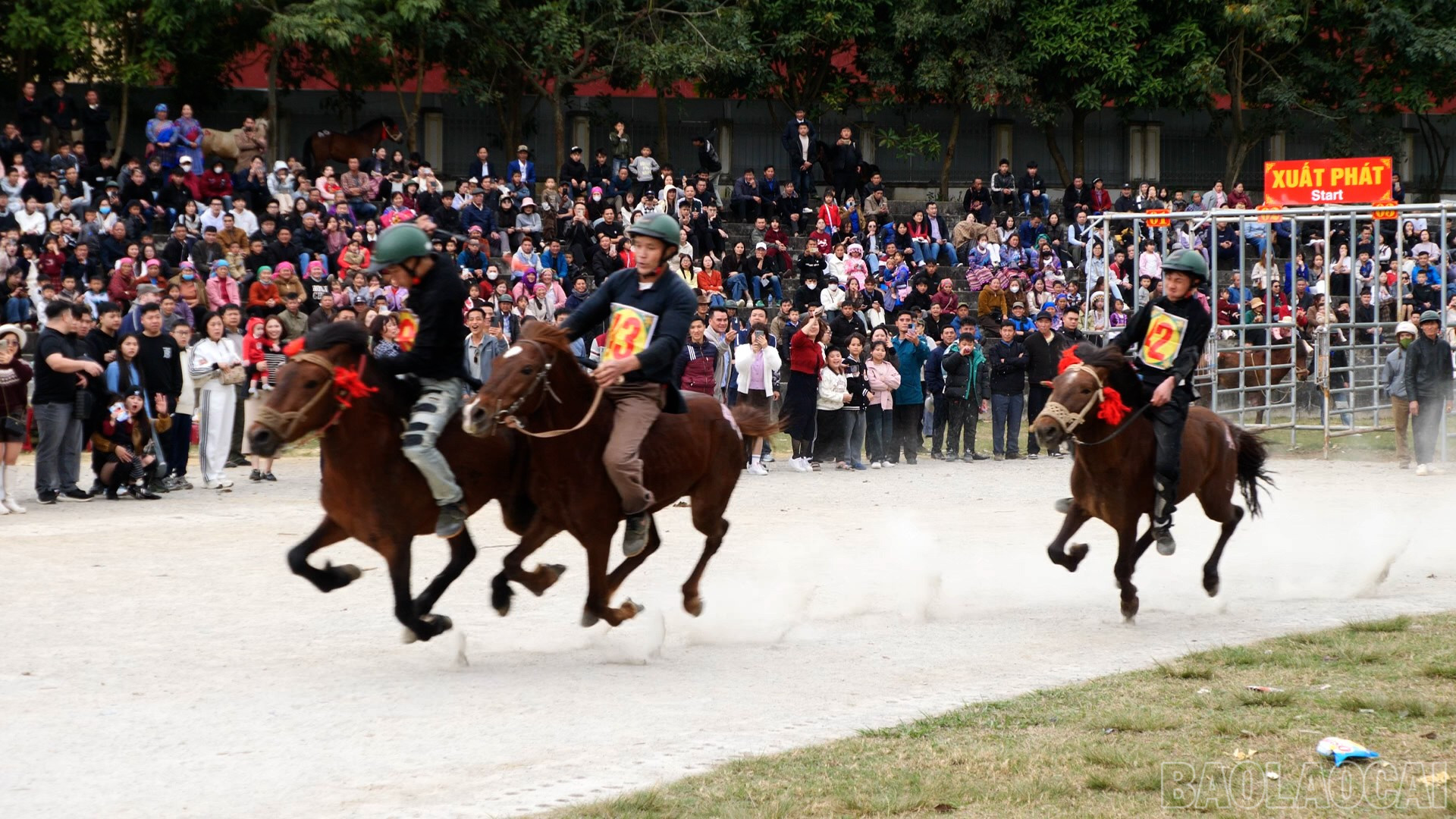 Những chú ngựa thồ nay trở thành những kỵ mã dũng mãnh trên trường đua. baolaocai-br_027-156001-10-31-13still143.jpg