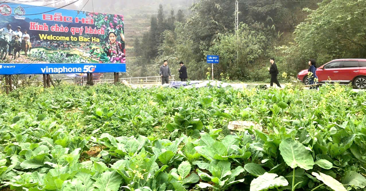 Du khách trải nghiệm đặc sắc tại cao nguyên trắng Bắc Hà. Du khách trải nghiệm đặc sắc tại cao nguyên trắng Bắc Hà.