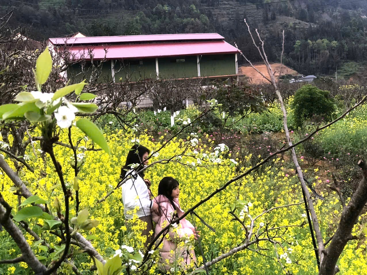 Đây cũng là dịp để Bắc Hà giới thiệu, quảng bá tiềm năng, thế mạnh du lịch và các sản phẩm du lịch độc đáo Đây cũng là dịp để Bắc Hà giới thiệu, quảng bá tiềm năng, thế mạnh du lịch và các sản phẩm du lịch độc đáo